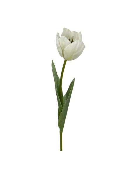 R.TULIPAN X1 TACT.NATUR., CREMA 48cm(6cm)