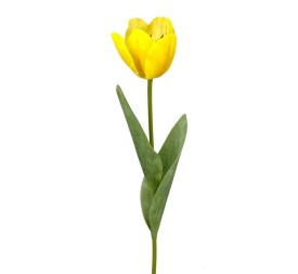R.TULIPAN X1 TACT.NATUR., AMARILLO 48cm(6cm)