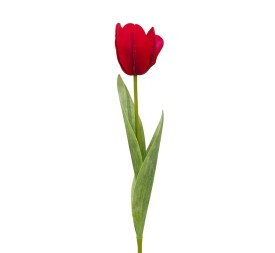 R.TULIPAN X1 TACT.NATUR., ROJO 48cm(6cm)