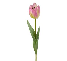 R.TULIPAN X1 TACT.NATUR., ROSA 48cm(6cm)