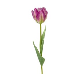 R.TULIPAN X1 TACT.NATUR., LILA 48cm(6cm)