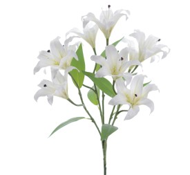 RAMO LILIUM 5202-01