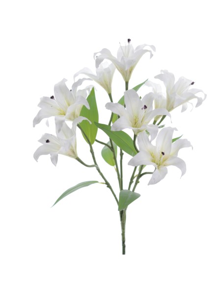 RAMO LILIUM 5202-01
