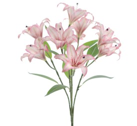 RAMO LILIUM 5202-07