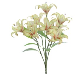 RAMO LILIUM 5202-09