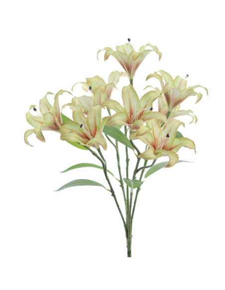 RAMO LILIUM 5202-09