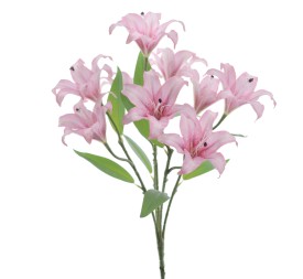 RAMO LILIUM 5202-12