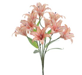RAMO LILIUM 5202-14