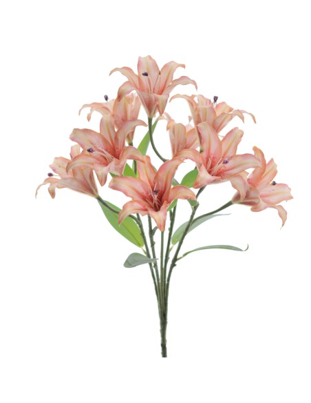 RAMO LILIUM 5202-14