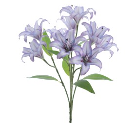 RAMO LILIUM 5202-16