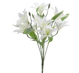 RAMO LILIUM 5209-01