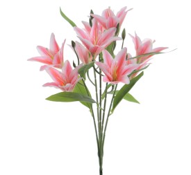 RAMO LILIUM 5209-12
