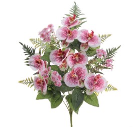 PALMA PHANELOPSIS 5571-07