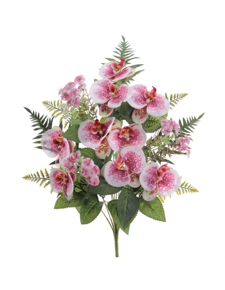 PALMA PHANELOPSIS 5571-07