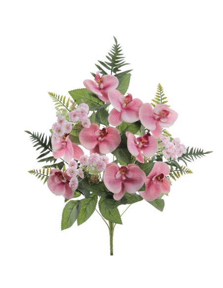 PALMA PHANELOPSIS 5571-12