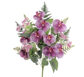 PALMA PHANELOPSIS 5571-16