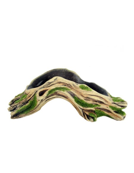 MACETERO RAIZ PUENTE XXL CACTUS