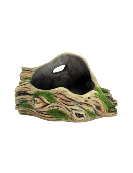 MACETERO RAIZ PLANA XL CACTUS