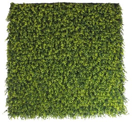 JARDIN VERTICAL BOJ 100X100CM