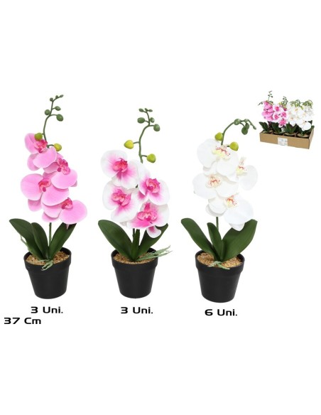 MACETA ORQUIDEAS X 4 R/TOUCH 37 CM (S)