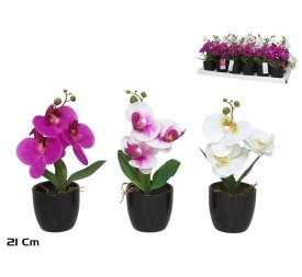 MACETA ORQUIDEAS X 3 R/TOUCH-21 CM (S)
