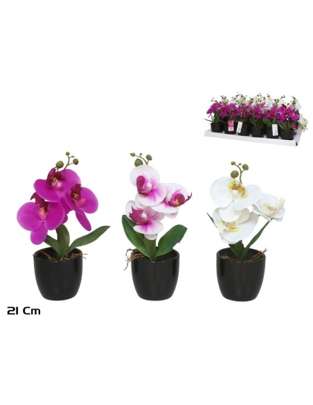 MACETA ORQUIDEAS X 3 R/TOUCH-21 CM (S)
