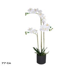 MACETA (N) ORQUIDEAS X 3 R/T-77 CM (BL)