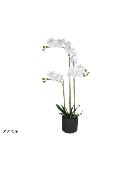 MACETA (N) ORQUIDEAS X 3 R/T-77 CM (BL)