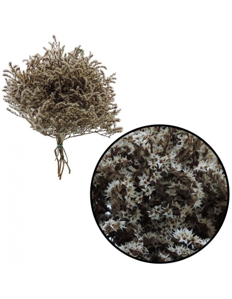 TATARICA 100 GRS. NATURAL (P01)