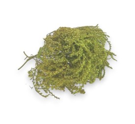 TATARICA 100 GRS. (P60) VERDE