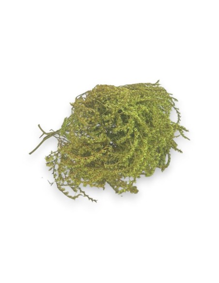 TATARICA 100 GRS. (P60) VERDE