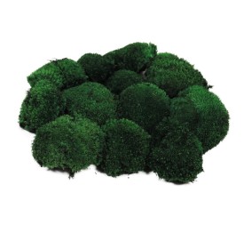 MUSGO BOLA PRESS VERDE (67)