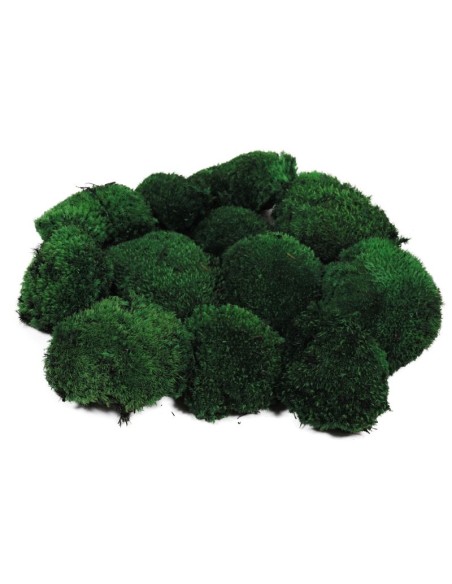 MUSGO BOLA PRESS VERDE (67)