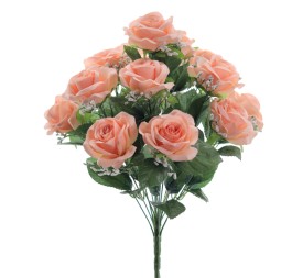 RAMO ROSAS (9227-14)