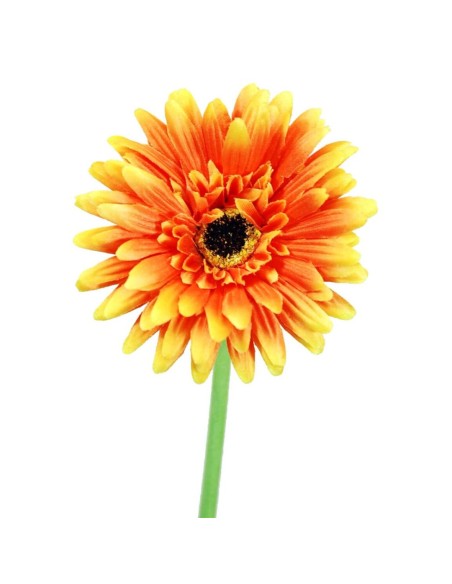 GERBERAX1 SATEN NARAN.60cm(10)