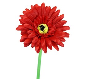 GERBERAX1 SATEN ROJA 60cm(10)