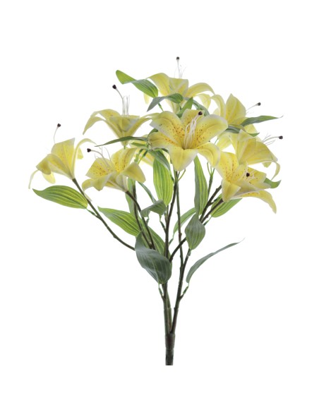 RAMO TIGER LYLY X 9 (9641-02)