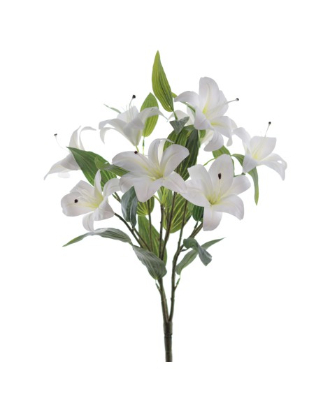 RAMO TIGER LYLY X 9 (9641-11)