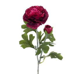 R.RANUNCULUS X2 POLIEST., BURDEOS 53cm(8cm)