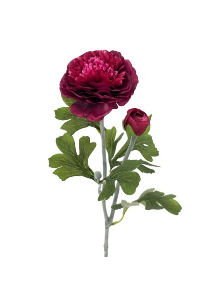 R.RANUNCULUS X2 POLIEST., BURDEOS 53cm(8cm)