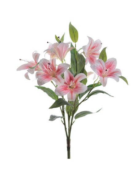 RAMO TIGER LYLY X 9 (9641-12)