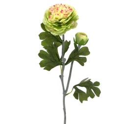 R.RANUNCULUS X2 POLIEST., VERDE 53cm(8cm)