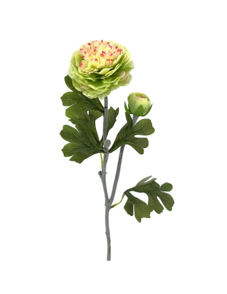 R.RANUNCULUS X2 POLIEST., VERDE 53cm(8cm)