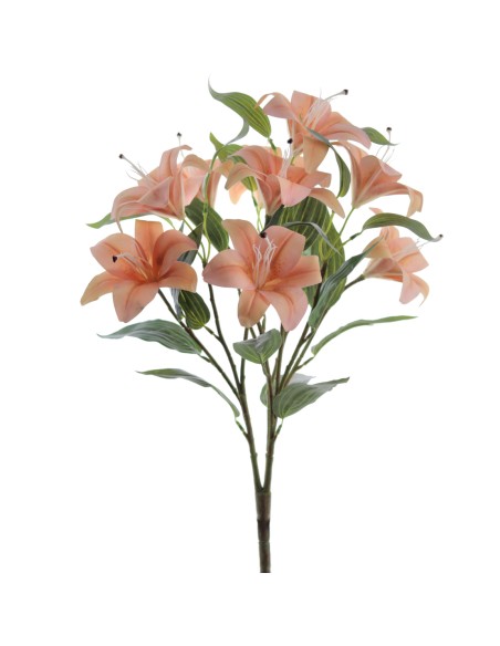 RAMO TIGER LYLY X 9 (9641-14)