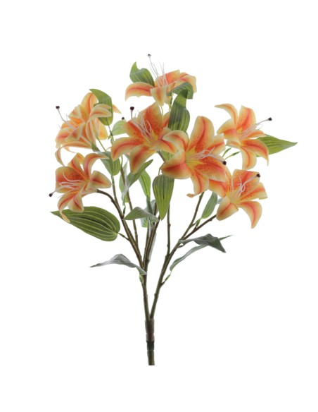 RAMO TIGER LYLY X 9 (9641-15)