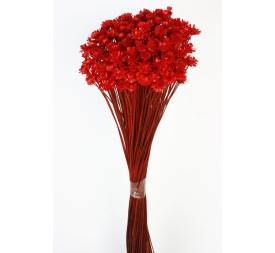 GLIXIA GIGANTE 45 cms. ROJO (54)