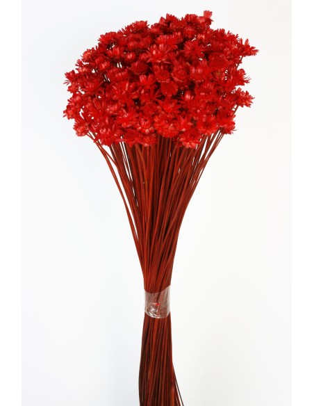 GLIXIA GIGANTE 45 cms. ROJO (54)