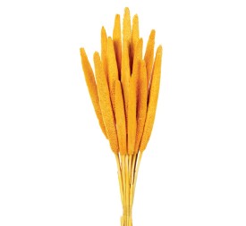 BABALA 75 cms. AMARILLO (10)