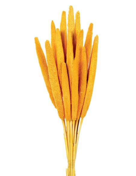 BABALA 75 cms. AMARILLO (10)