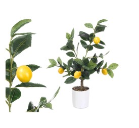 PLANTA LIMONERO 58CM